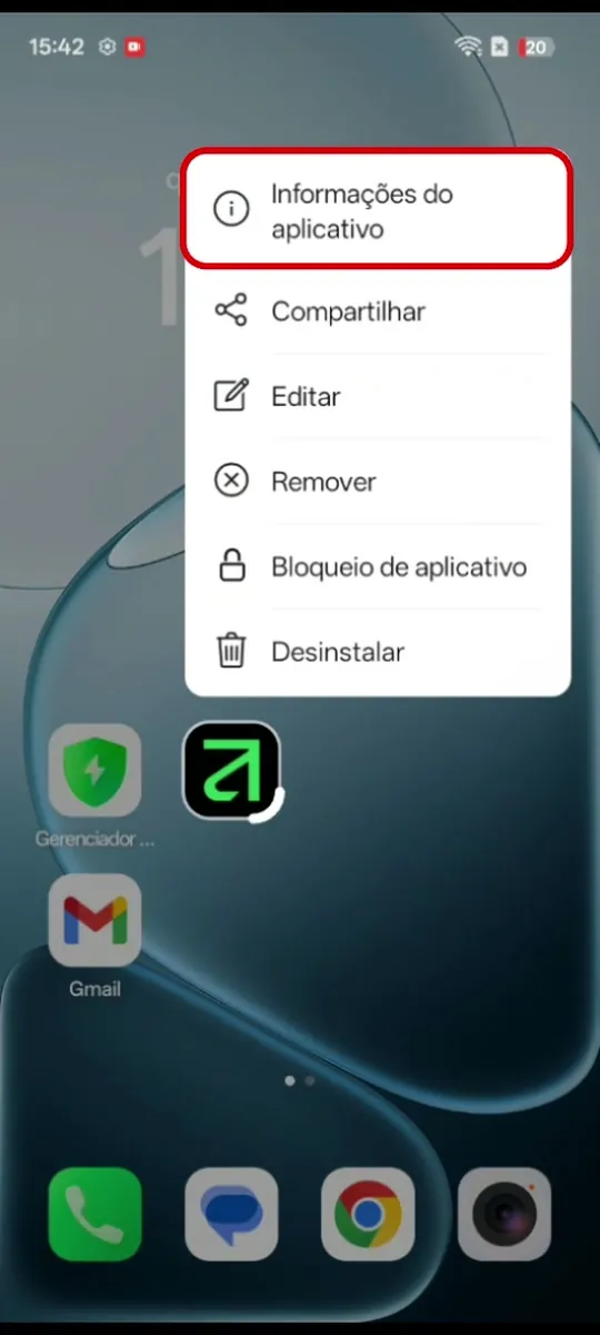 “Informações do aplicativo”